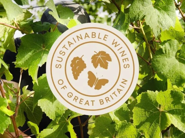 Gold Award, Sustainable Wines of Great Britain logo on a vineyard background