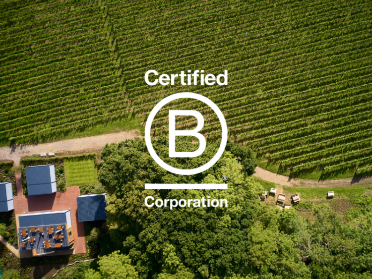 An aerial shot of Ridgeview's vineyard showing vines and winery buildings, with a white B Corp logo overlaid